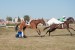 098_Dostihy_Cacov